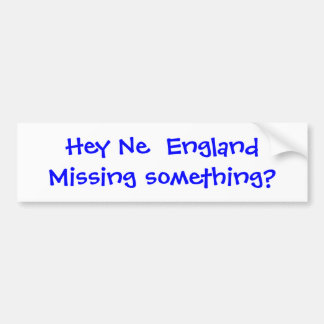 Missing Something? Bumper Sticker