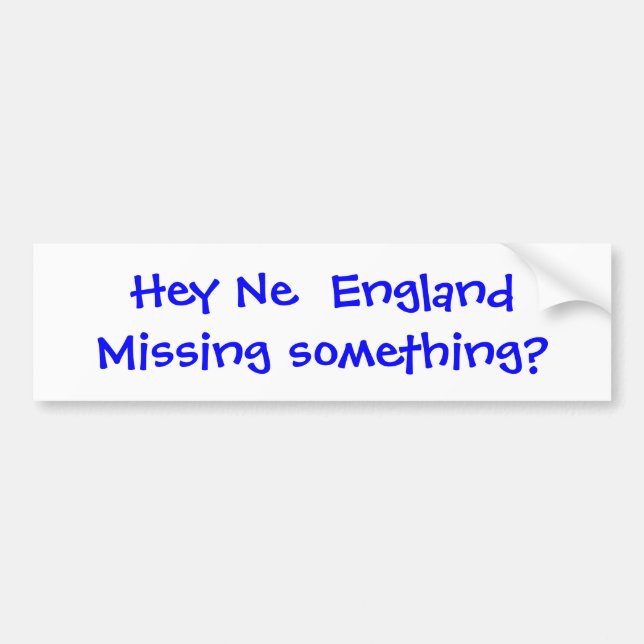 Missing Something? Bumper Sticker (Front)