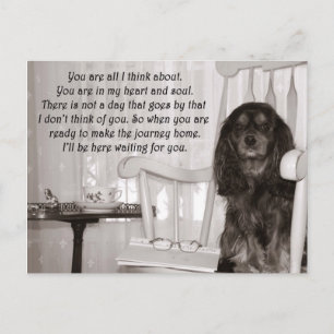 Missing You: A Cavalier KIng Charles Spaniel Card