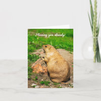 Missing you already! Black-Tailed Prairie Dog