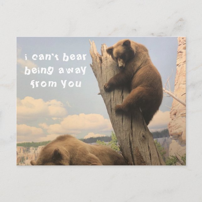 Missing You Animal Postcard (Front)