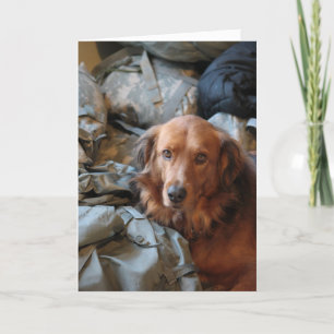 Missing You Army Dog Card