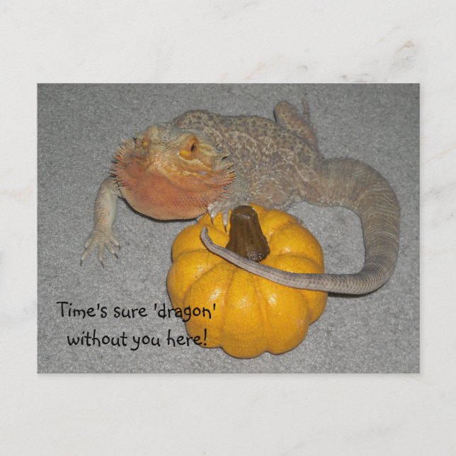 Missing You Bearded Dragon Postcard (Front)