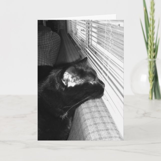 Missing You Black Cat Card (Front)