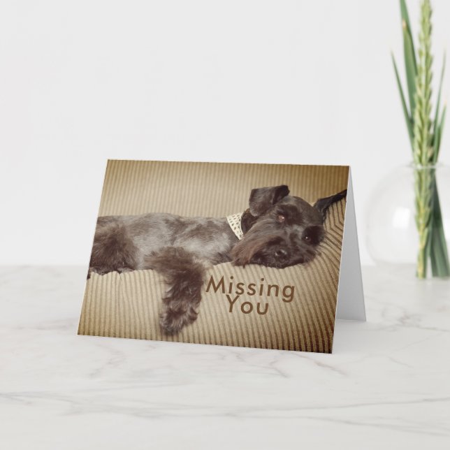 Missing You Black Miniature Schnauzer Card (Front)