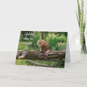 Missing You Cat Photo Folded Greeting Card