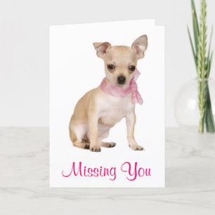 Missing You  Chihuahua Puppy Dog Greeting Card