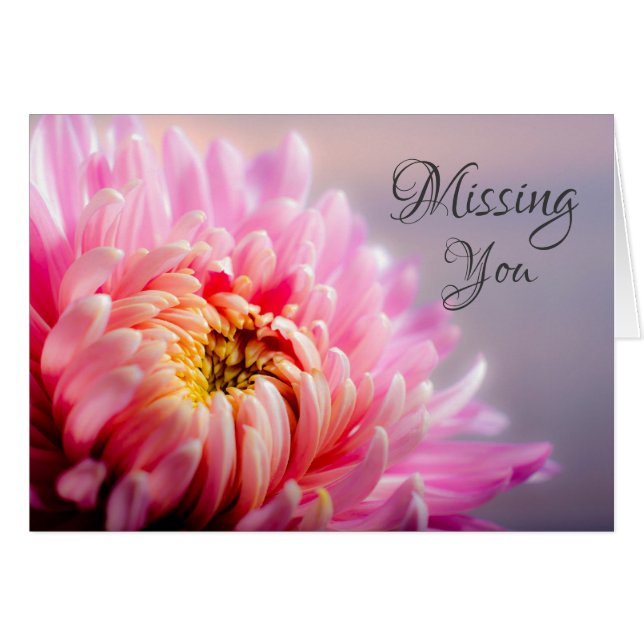 Missing You Chrysanthemum Macro Photo Note Card (Front Horizontal)