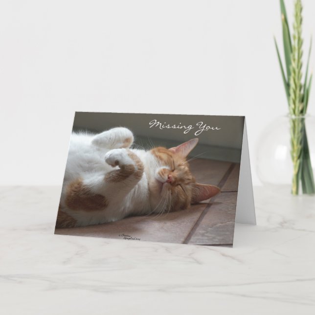 Missing you Cute cat sleeping Card (Front)