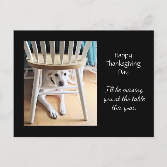 Missing You Cute White Dog Black Thanksgiving Postcard (Front)