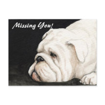 "Missing You" English Bulldog Postcard