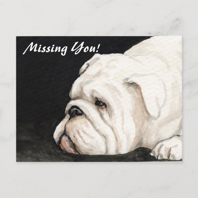 "Missing You" English Bulldog Postcard (Front)