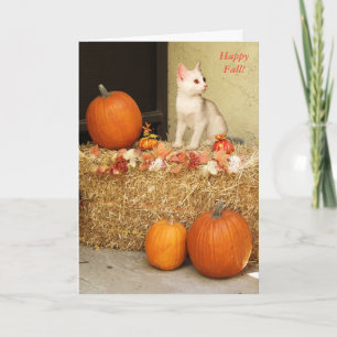 Missing You Halloween Kitten & Pumpkins Card