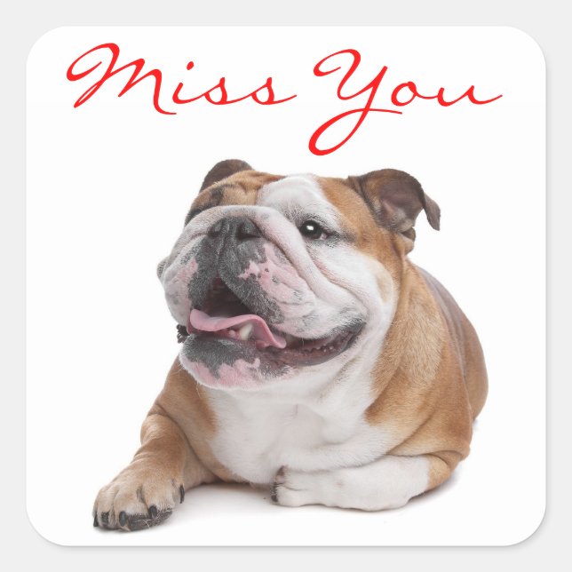 Missing You Happy Bulldog Puppy Dog  Sticker (Front)