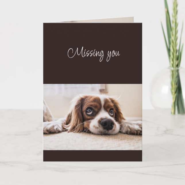 Missing You How are You Sad Lonely Cute Dog Card (Front)