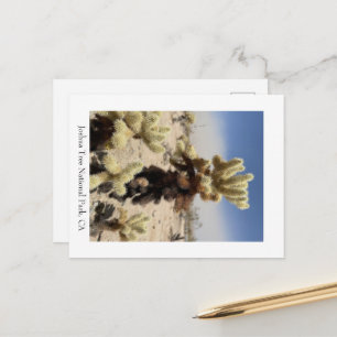 Missing you- Joshua Tree National Park, CA Postcard