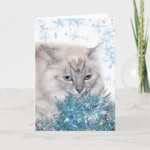 Missing you kitty Christmas Holiday Card