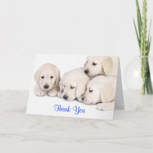 Missing You Labrador Retriever Puppies Card