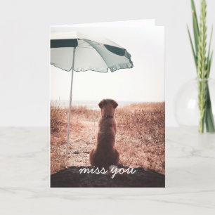 Missing You Lone Golden Retriever On Beach Card