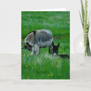 Missing You nature scene card