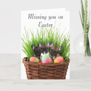 Missing you on Easter French bulldog puppies card