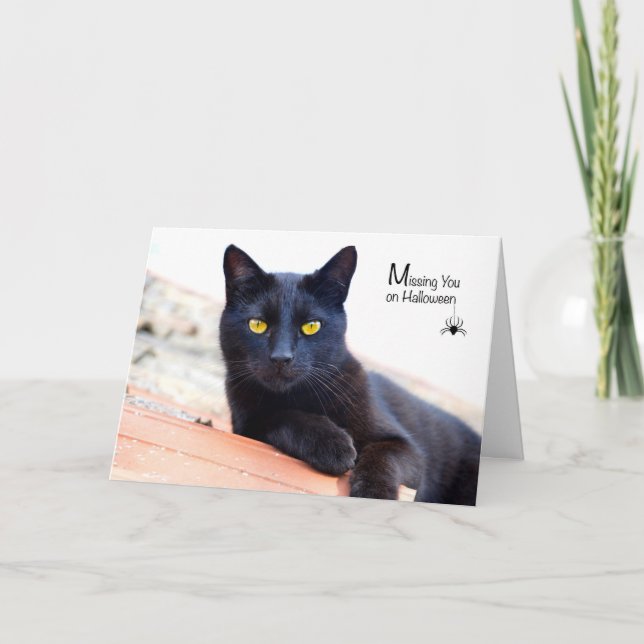 Missing You on Halloween, Black Cat with Spider Card (Front)