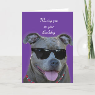 Missing you on your Birthday Blue pitbull Card