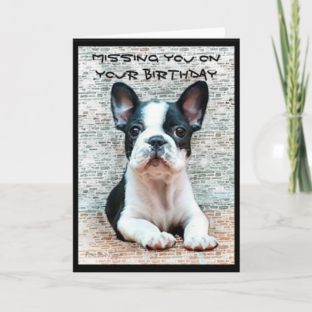 Missing you on your Birthday French Bulldog card (Front)