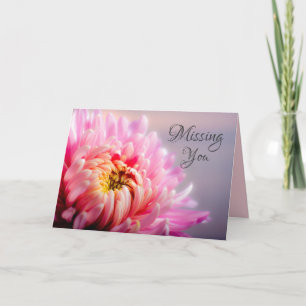 Missing You Pink Chrysanthemum Macro Photo Card
