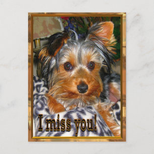 Missing YOU Postcard