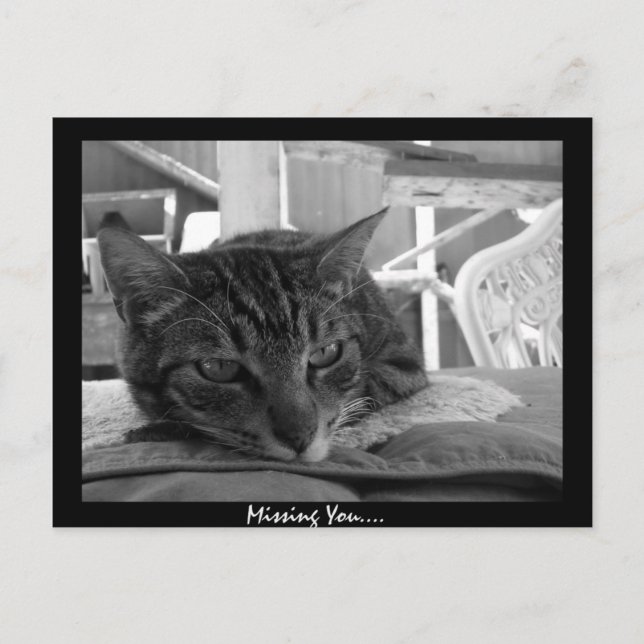 Missing You Postcard (Front)