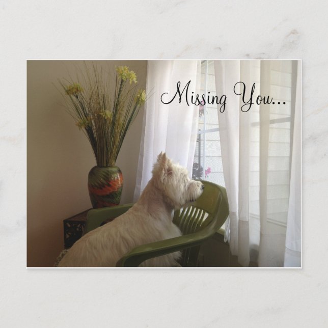 Missing You... Postcard (Front)