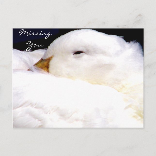Missing You_ Postcard (Front)