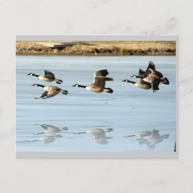 Missing you Postcard (Front)