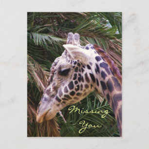 Missing You_ Postcard