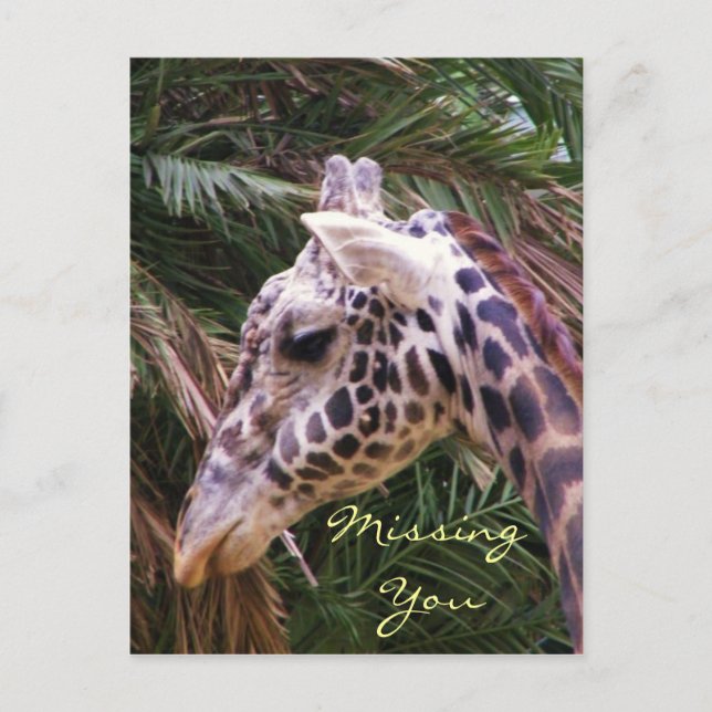 Missing You_ Postcard (Front)