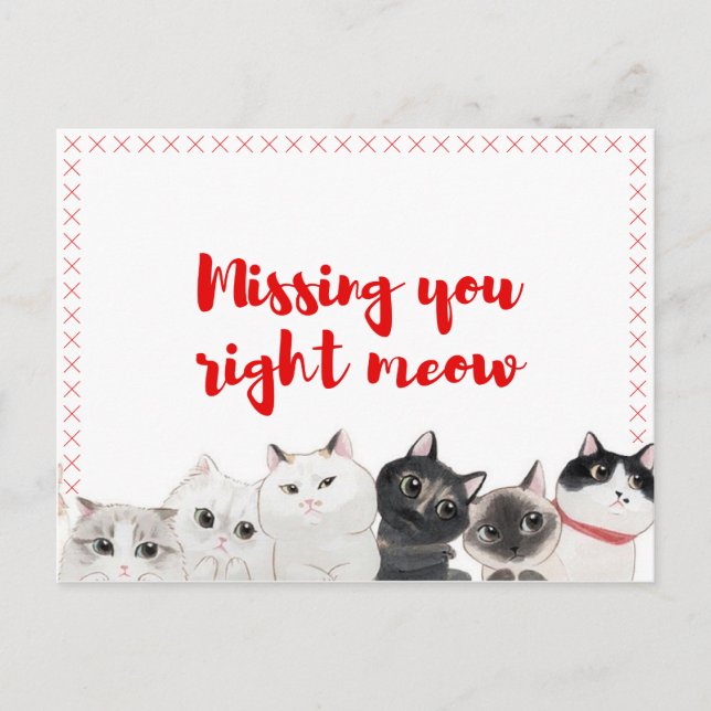 Missing You Right Meow Postcard (Front)