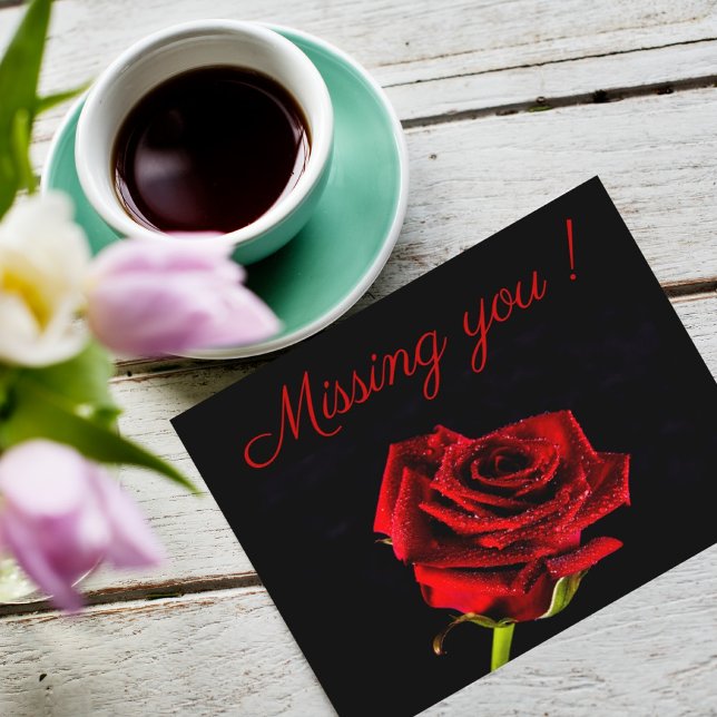 Missing you romantic red rose photo personalized postcard (Creator Uploaded)