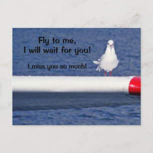 Missing You - Seagull Postcard