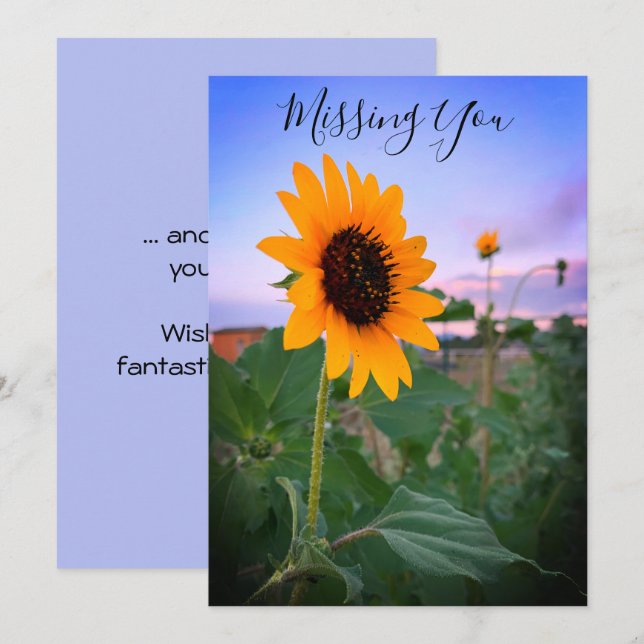Missing You Sunflower At Dusk Photo Custom Card (Front/Back)