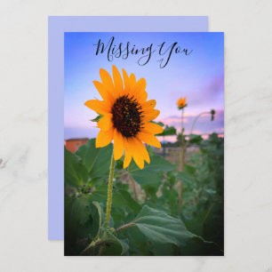 Missing You Sunflower At Dusk Photo Custom Card