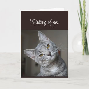Missing You Thinking of You Curious Cat Card