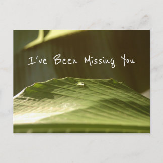 "Missing You", Water Droplet on Banana Leaf, Photo Postcard