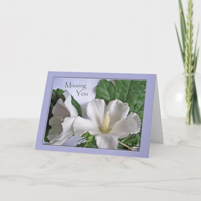 Missing You White Hibiscus Rose of Sharon Card (Front)