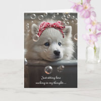 Missing You with Cute Samoyed Type White Dog