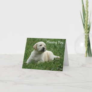 Missing You Yellow Labrador Retriever Puppy Card
