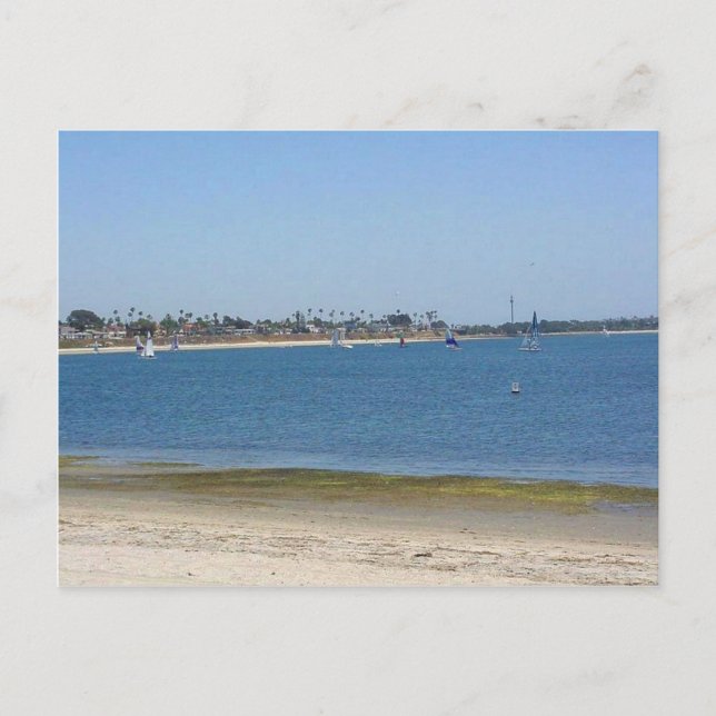 Mission Bay Sailboats Water Postcard (Front)