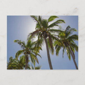 Mission Beach Postcard
