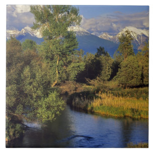 Mission Creek in the National Bison Range in Tile