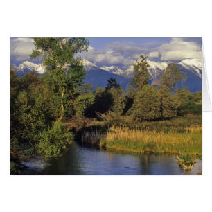 Mission Creek runs through the National Bison